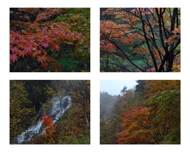 バスツァーで長野・群馬県境方面へ_d0037233_11272877.jpg