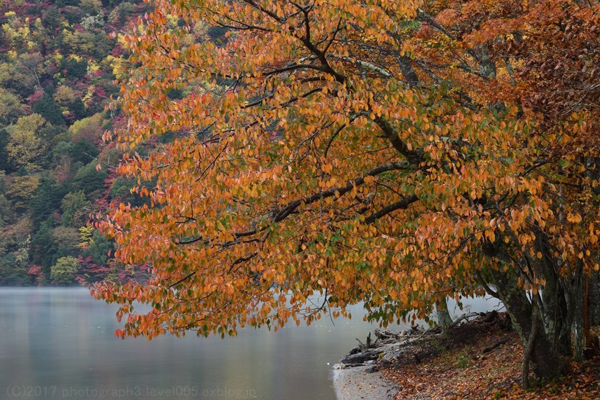 奥日光 千手ヶ浜 紅葉 1_e0362037_22211162.jpg