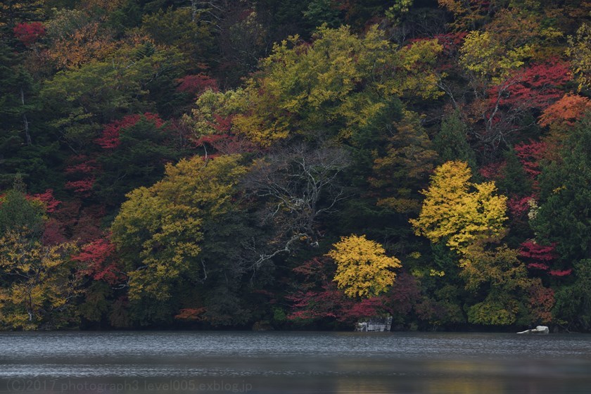 奥日光 千手ヶ浜 紅葉 1_e0362037_22265039.jpg