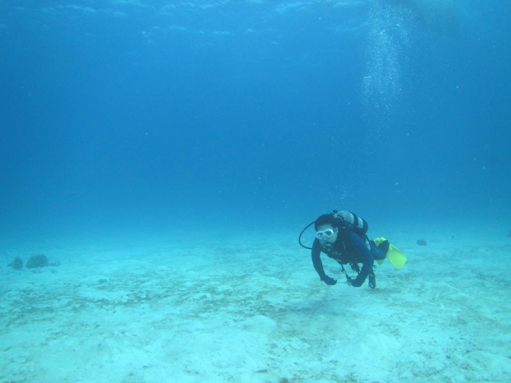a0189838_17343331.jpg