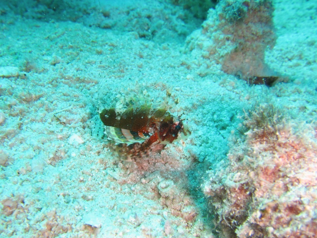 a0189838_17351747.jpg