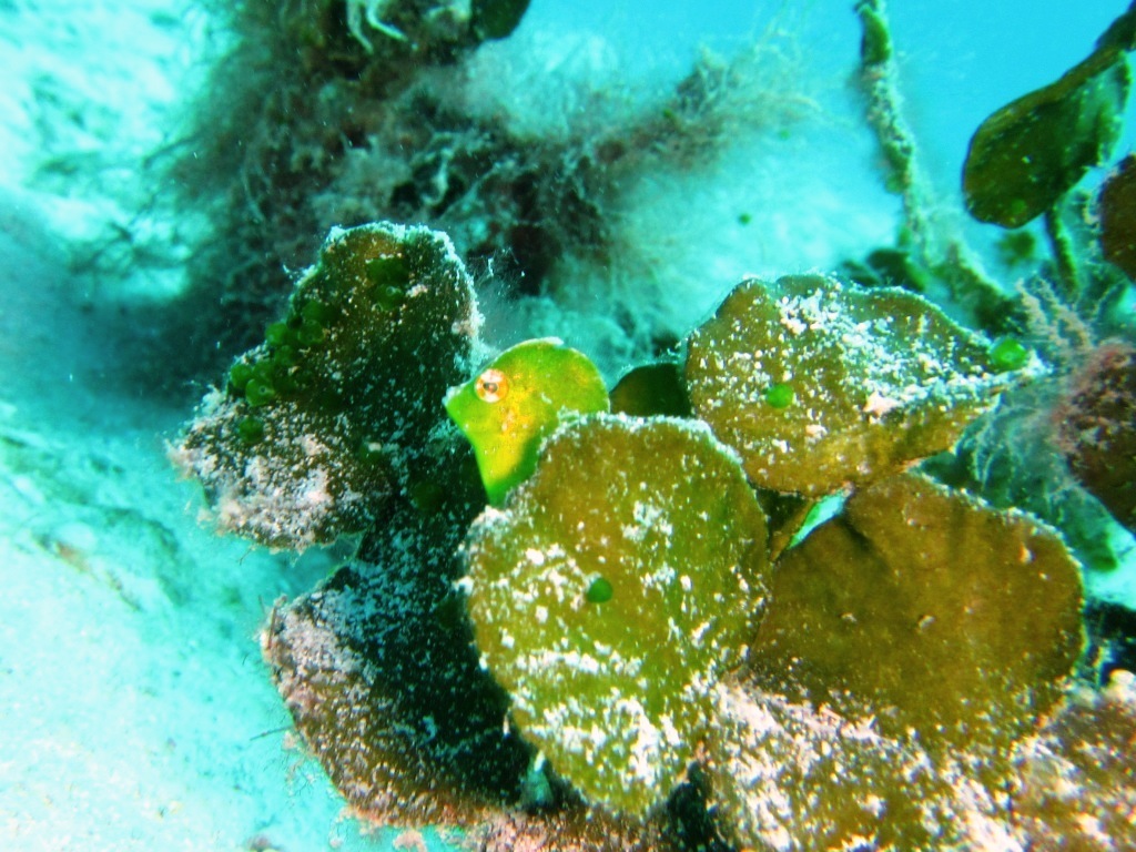 a0189838_17355398.jpg