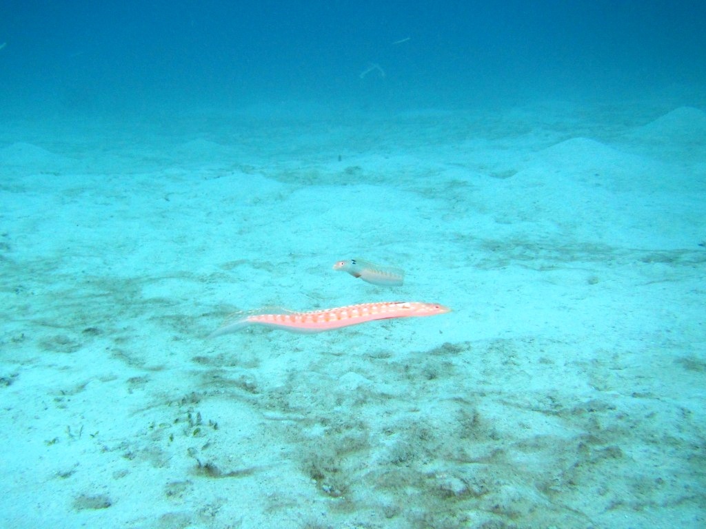 a0189838_17371107.jpg