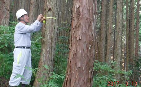 ３０・薪林業のフィールド/城八幡の森（松岡山）　_a0051539_21082517.png