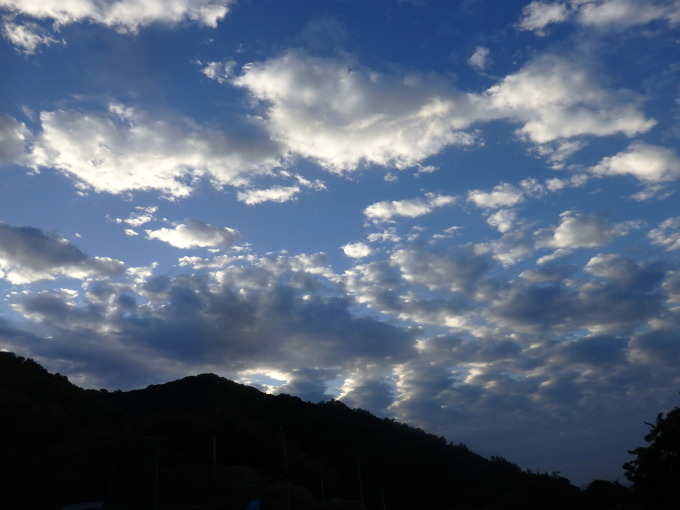 a0054240_20511161.jpg