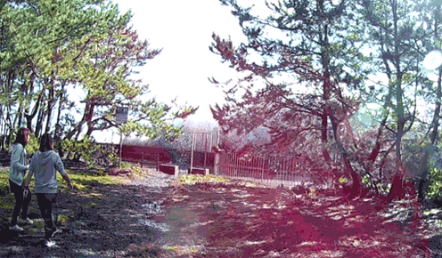 a0056140_21371018.gif