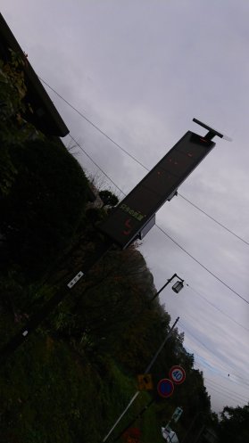 d0035444_199371.jpg