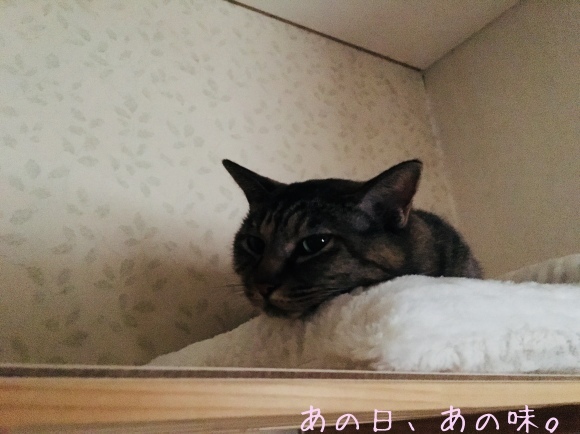 a0305046_13342426.jpg