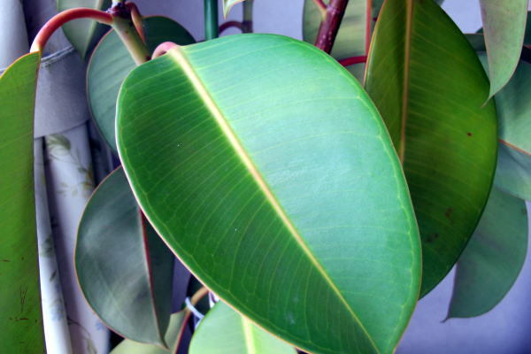 c0147952_23544766.jpg