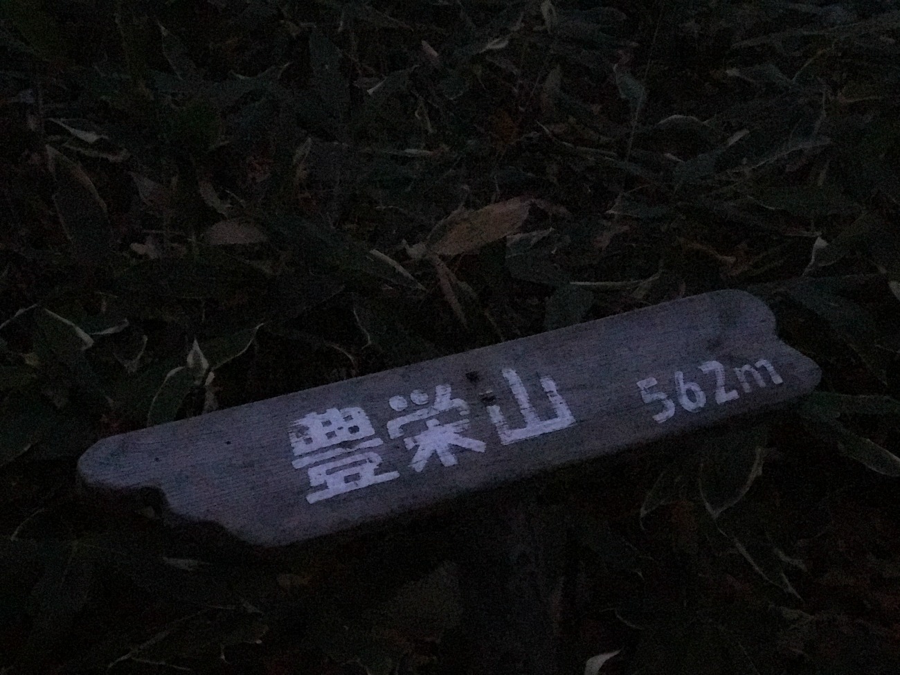 e0105954_1212782.jpg