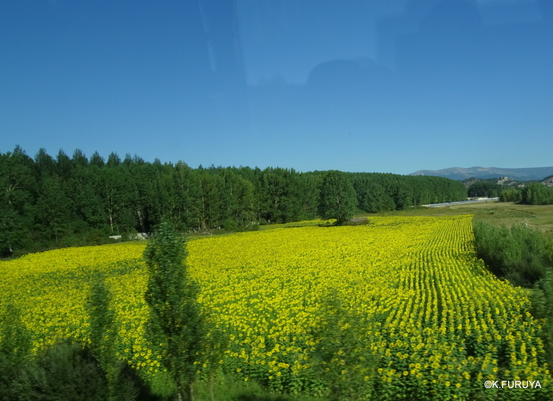 a0092659_23150132.jpg