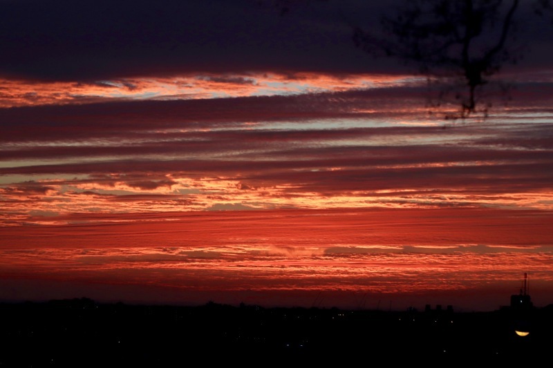 a0248459_15041034.jpg