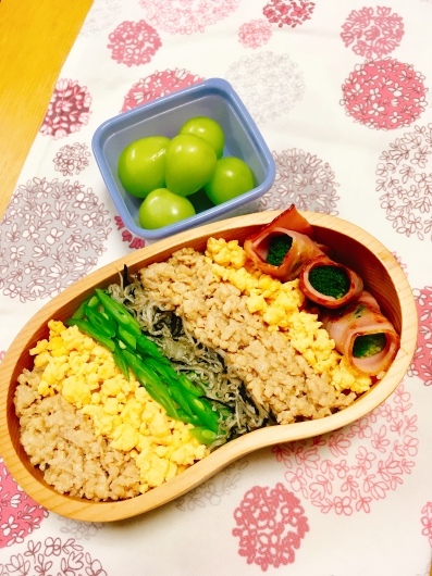 お弁当No.673。鶏そぼろ弁当。_f0344865_11443981.jpeg