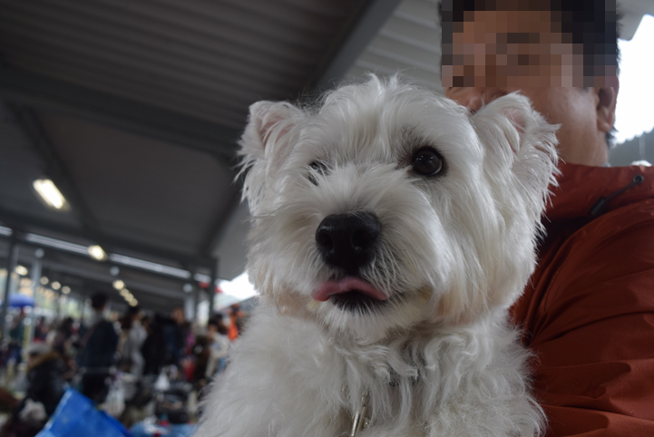 b0242873_00020155.png