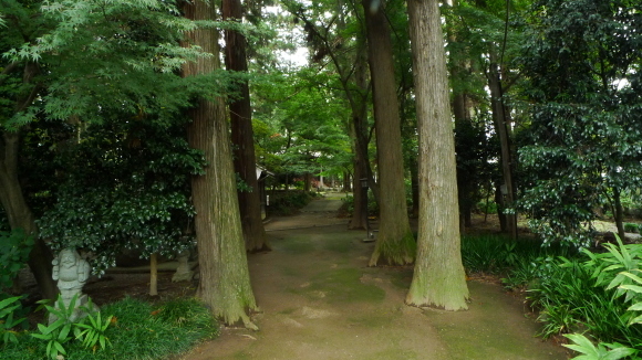 c0212083_17212334.jpg