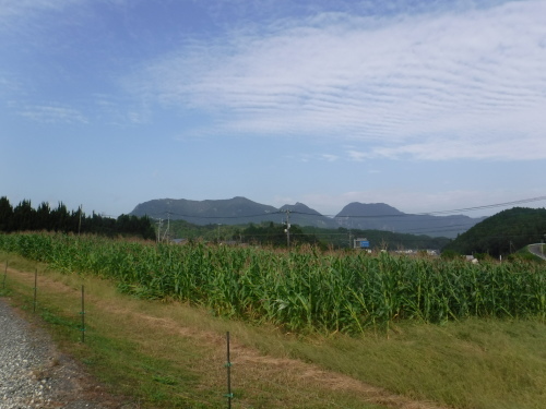 d0195183_19334409.jpeg