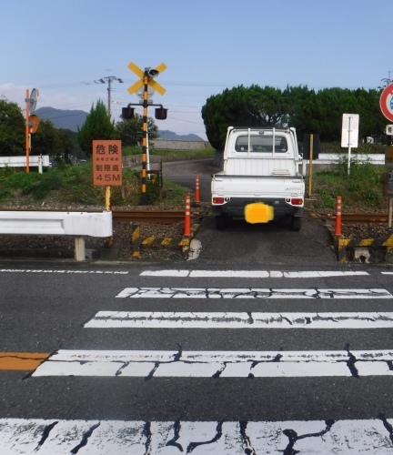 d0195183_19340525.jpeg