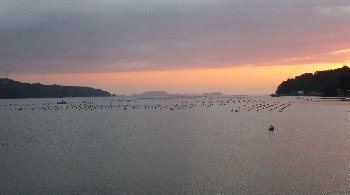 f0003283_21200985.jpg