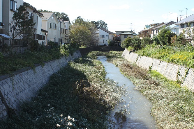 ぶらり狭山丘陵・山口地区_d0183387_16365499.jpg