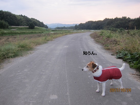 f0106692_07224908.jpg