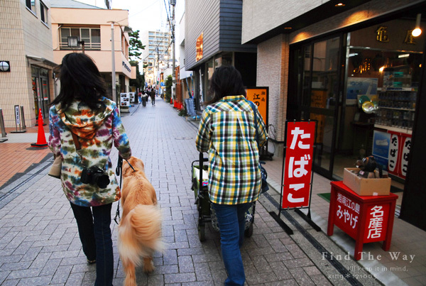 【犬的散歩日和】神奈川・湘南　2／3_f0054594_00222180.jpg