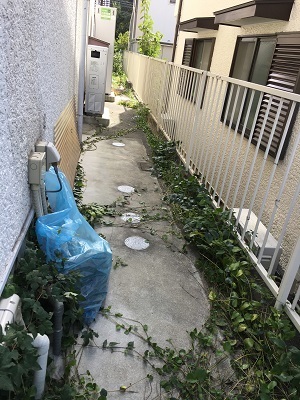 f0372998_21532570.jpg