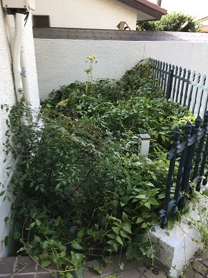 f0372998_21534215.jpg