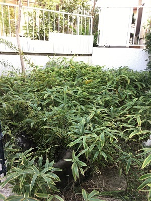 f0372998_21535593.jpg