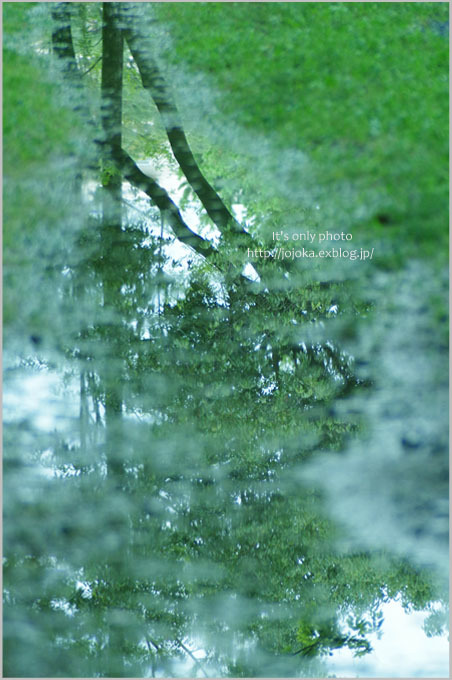 雨上がりの公園_e0008800_22400364.jpg