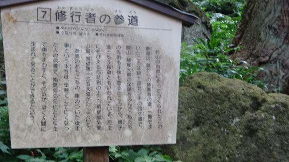 f0337700_08474251.jpg