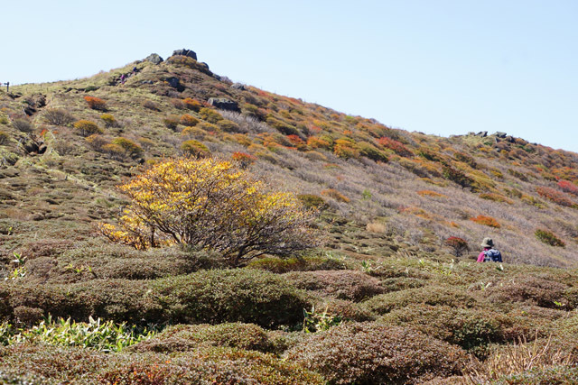 b0014607_20512515.jpg