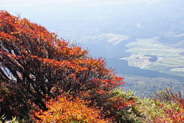 b0014607_20541355.jpg