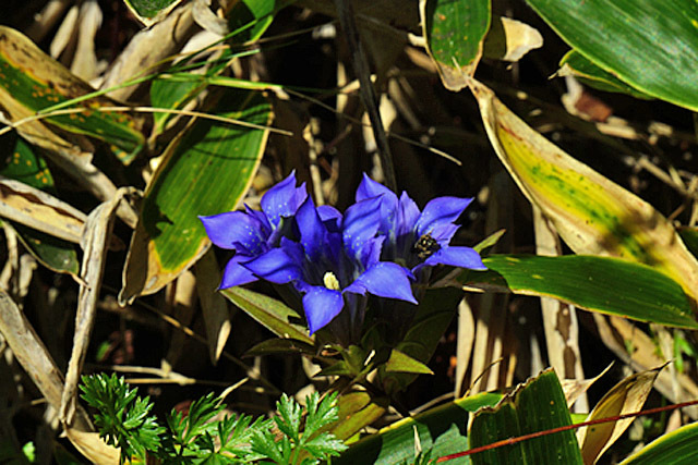 b0014607_20542427.jpg