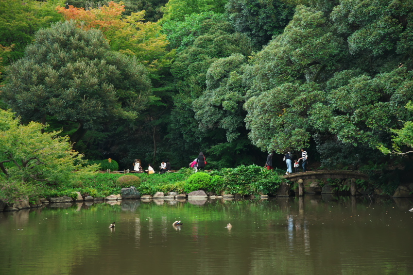 旧古河庭園の秋薔薇2_a0263109_21564842.jpg