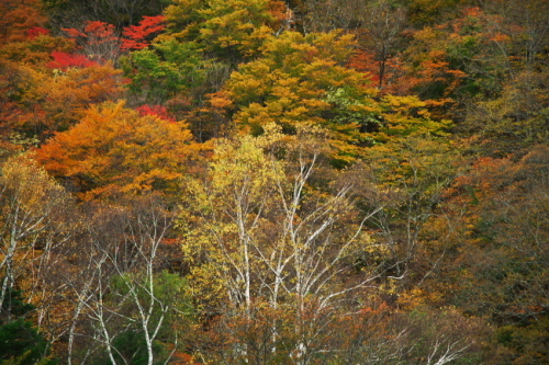 a0263109_22094460.jpg