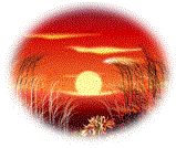 f0231709_14365148.gif