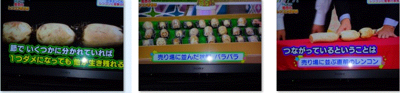 f0231709_22204136.gif