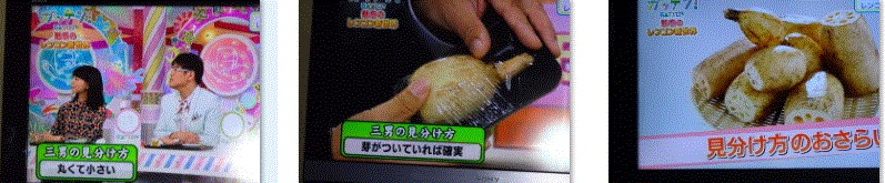 f0231709_22312166.gif