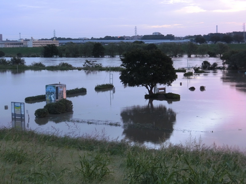 10月25日（水）昨日の江戸川_d0278912_18482464.jpg