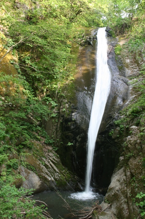 d0361112_21330230.jpg