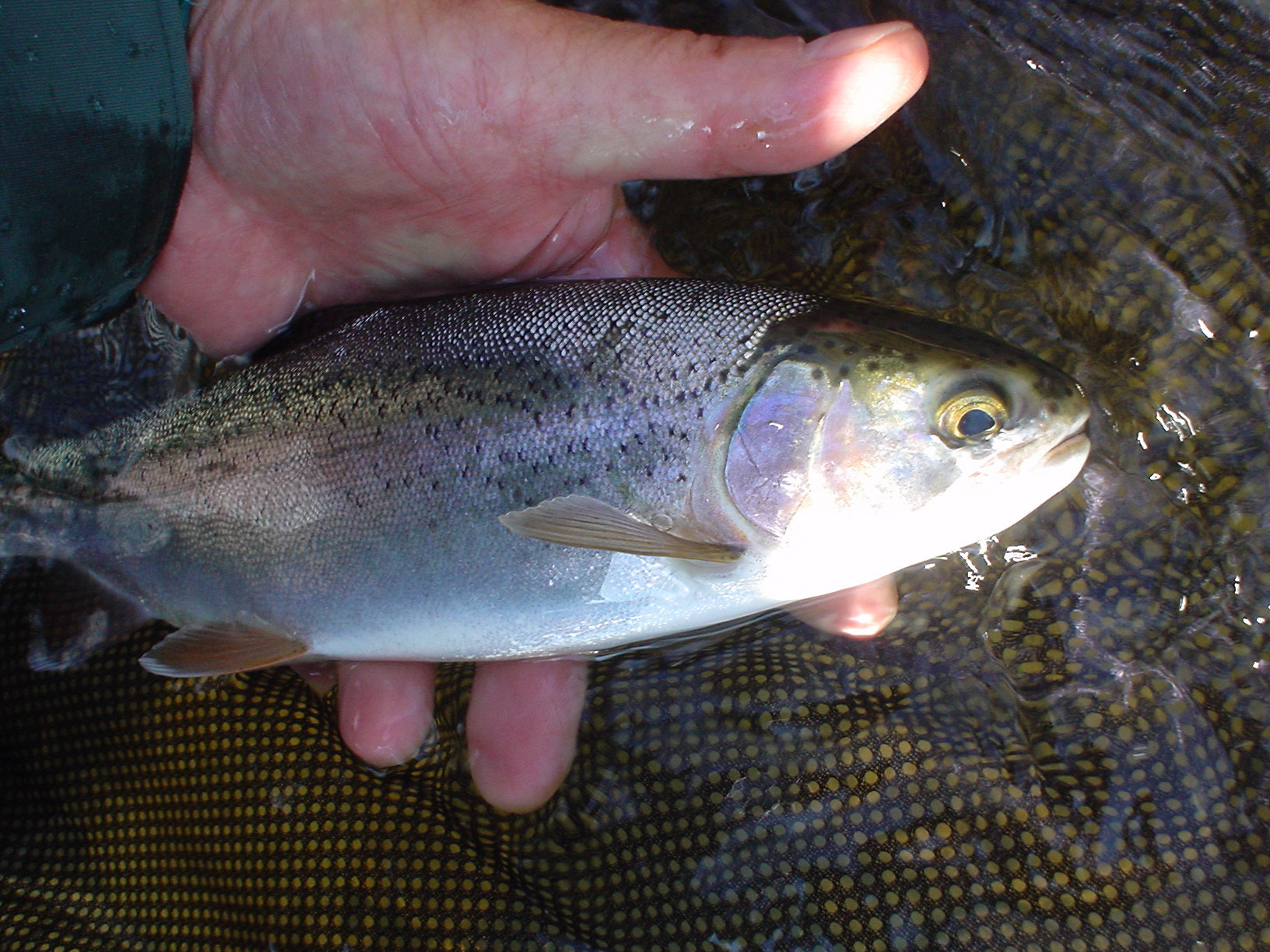 f0280717_14501470.jpg