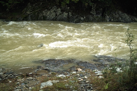 ライフラインが・・・　朽木小川・気象台より_c0044819_1032151.jpg