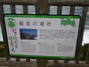f0228619_21145423.jpg
