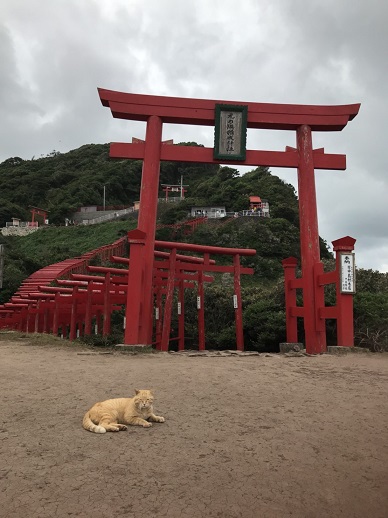 2017家族旅行　山口県・元乃隅稲荷神社_f0228619_7562913.jpg