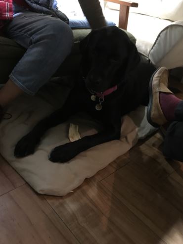 c0114121_034390.jpg