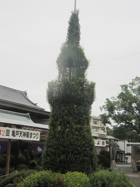 d0162225_23412975.jpg