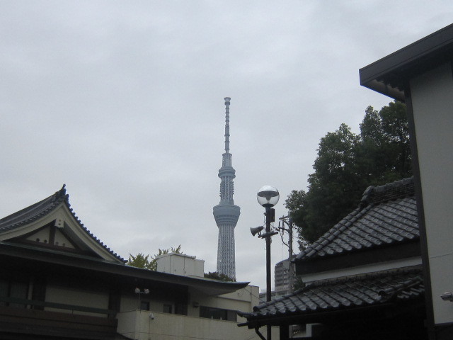 d0162225_23461764.jpg