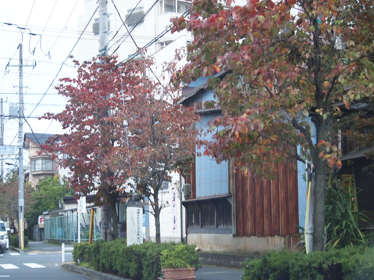 a0214329_15233544.jpg