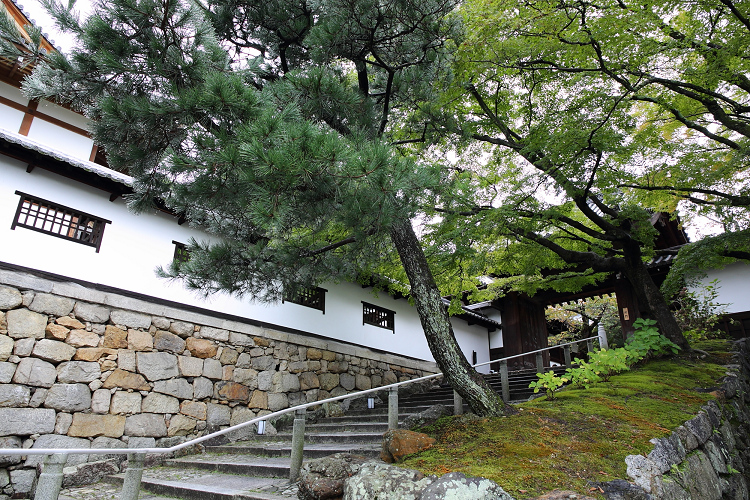 秋の知恩院 －方丈庭園、黒門－_b0169330_7271498.jpg