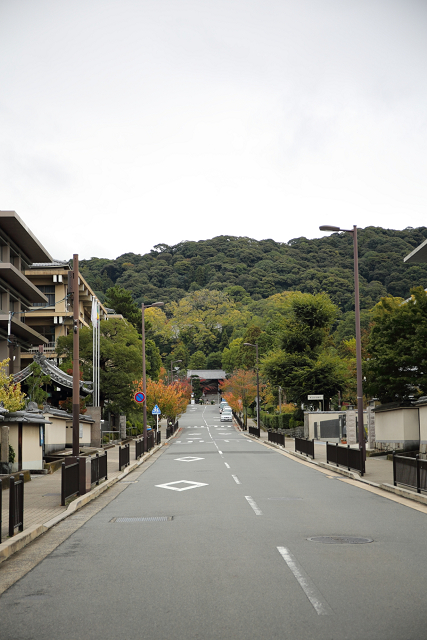 秋の知恩院 －方丈庭園、黒門－_b0169330_7275222.jpg